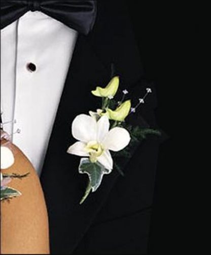 Dendrobium Orchid Boutonniere (T89-8)