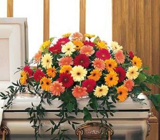 Gerbera Casket Spray (TF202-4)