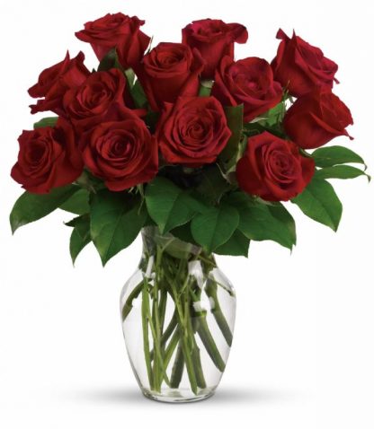 Red Rose Vase (TEV12-7A)