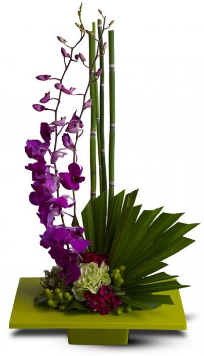 Orchid Artistry (T81-1A)