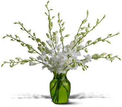 Serenity Orchid Vase (TW10-377)