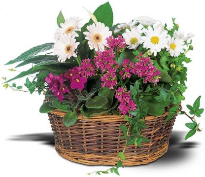 European Garden Basket (TW10-127)