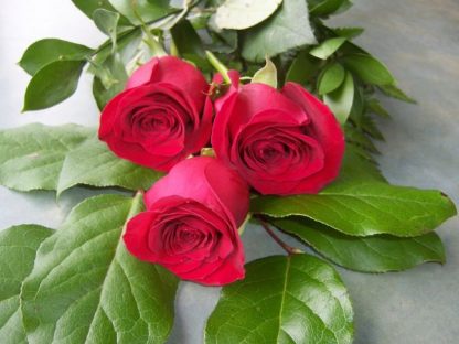 3 Red Roses (RS03-10)