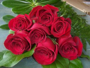 7 Red Roses (RS07-10)
