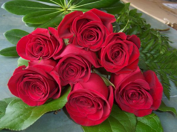 7 Red Roses (RS07-10) - Bunches Flower Co.