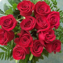 12 Red Roses (RS12-10)