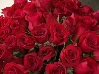 24 Red Roses (RS24-10)