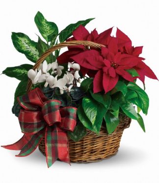 Holiday Homecoming Basket (T123-2A)