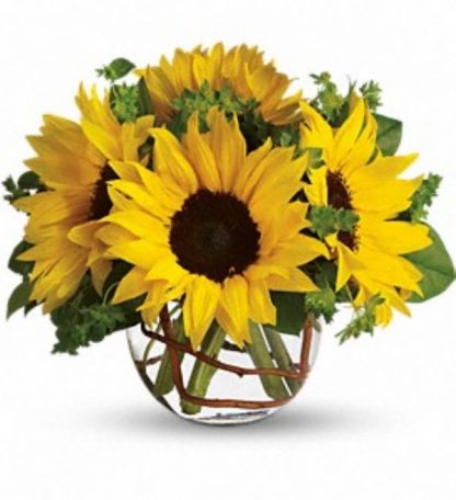 Sunny Sunflowers (T152-2A)