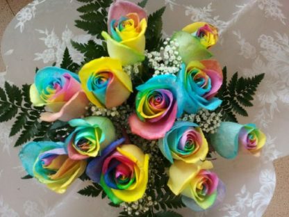12 Rainbow Roses (RSR12-13)