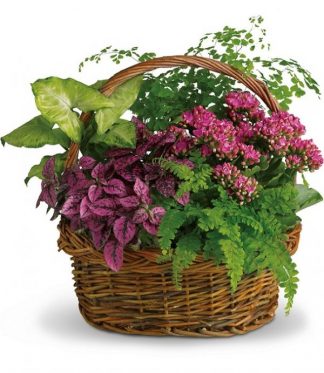 Secret Garden Basket (T96-2A)