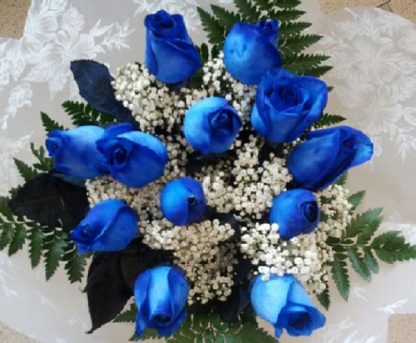 12 Blue Roses (RSB12-13)