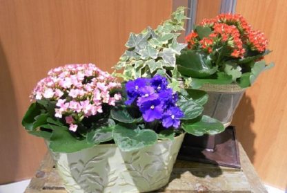 Double Planter (SW13-02)