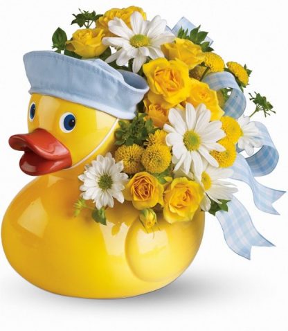 Ducky Delight- Boy (T34-3A Boy)