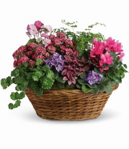 European Garden Basket (T97-1A)