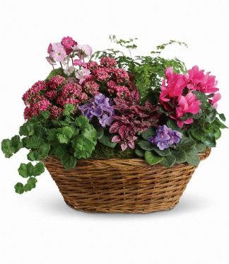 European Garden Basket (T97-1A)