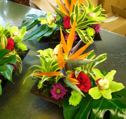 Tropical Celebration Centerpiece (WED13-06)