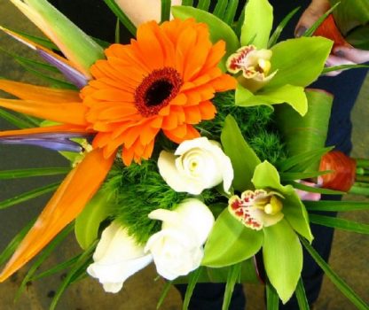 Tropical Celebration Bouquet (WED13-11)