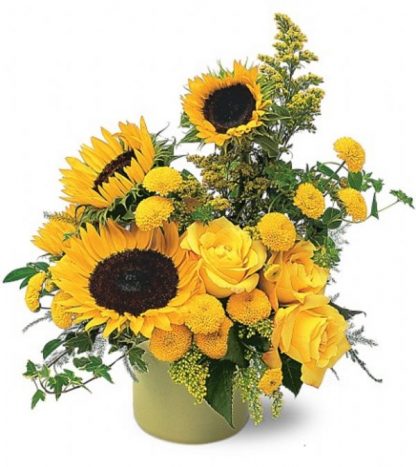 Pot of Sunflowers (TF67-2A)