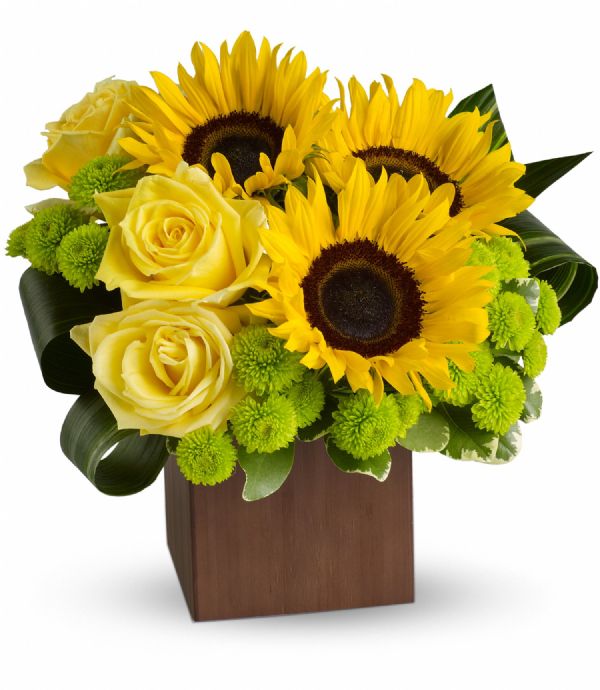 Fantasy Flower - Bunches Sunflower (T545-1A)