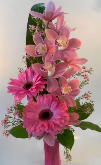 Orchid Vase - Pink Lemonade (SW15-01)