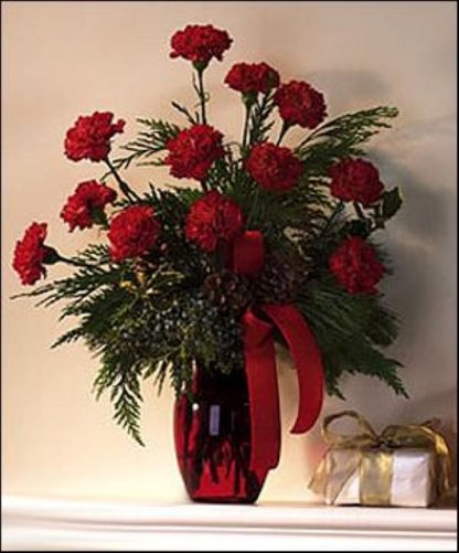 Holiday Carnations (T71-4)