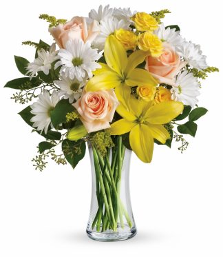 Daisies and Sunbeams (TEV10-1A)