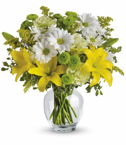 Brightly Blooming (TEV11-2A)