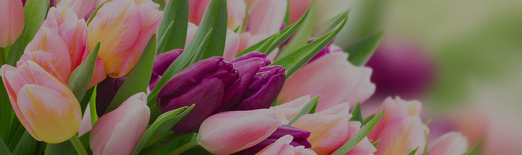 Home Bunches Flower Co.