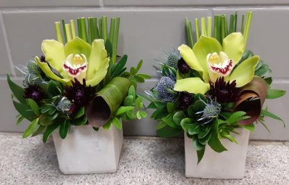 Orchid Cube FA19-03