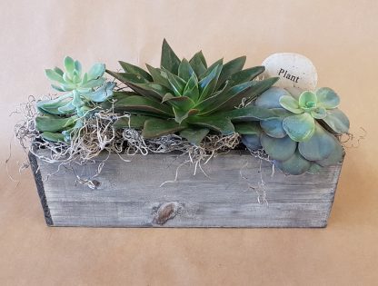 Succulent Garden (SW20-03)