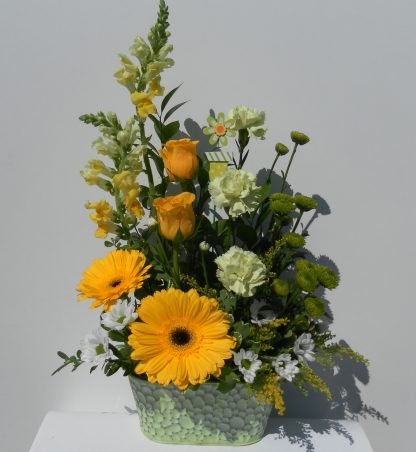 Sweet English Garden - Lemon-Lime (FA20-18)