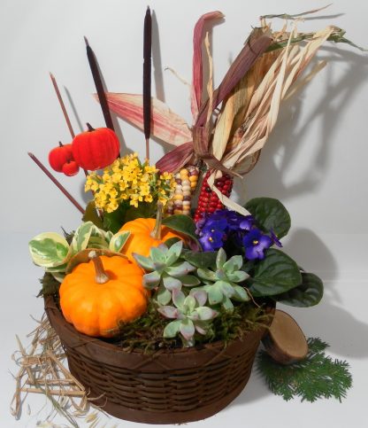 Plant basket