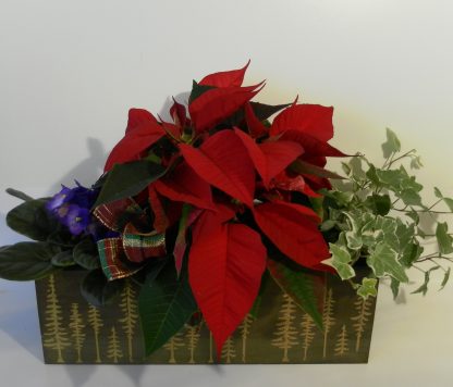 Winter Window Box (XM19-04)