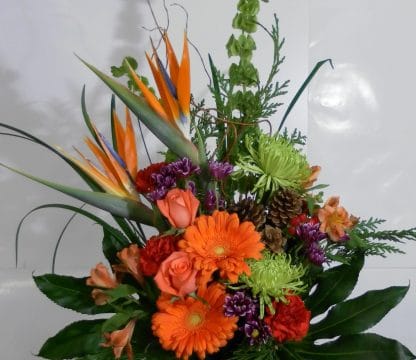 Tropical Christmas Bunch (XM20-075)
