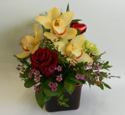 Orchid Kisses (VD21-02)