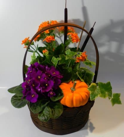 Fall Plant Basket (TG21-01)