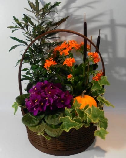 Autumn Plant Medley (TG21-02)