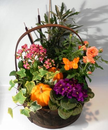 Harvest Planter (TG21-03)