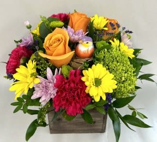 Birdsong for Spring (FA23-14)