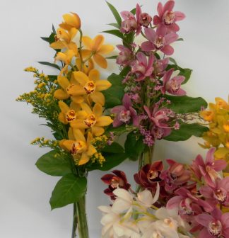 Cymbidium Orchid Vase (VD22-02)