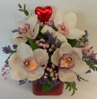 Valentine Orchid Posie (VD22-03)