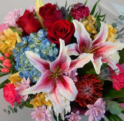 Designer's Choice Cut Flower Bouquet (CF22-75) -Splendid (VASE NOT INCLUDED)
