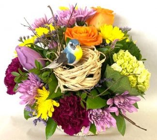 Birdsong for Spring (FA22-01)