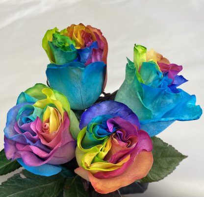Rainbow roses RSR22-04