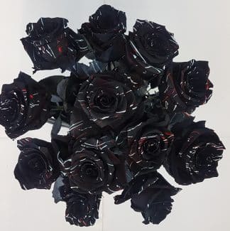 12 Black Roses (RSBL23-12)