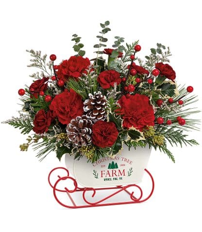 Teleflora's Snow What Fun Bouquet (T23X300A)