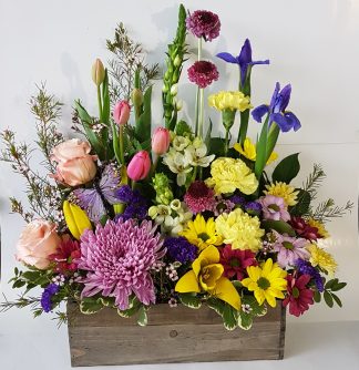 Spring Window Box (FA24-03)