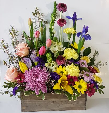 Spring Window Box (FA24-03)