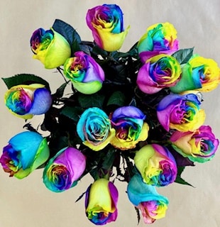 12 Rainbow Roses (RSR12-13)